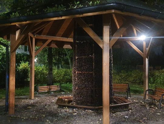 Tężnia w Piastowie pod lupą. Mieszkańcy skarżą się na bałagan, miasto odpowiada