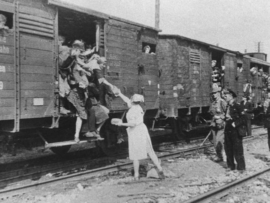 Trafili do Pruszkowa, dokąd zostali wywiezieni? Nieznana historia powstańców