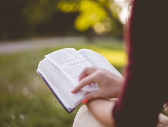 W Sokołowie stanie bibliobox