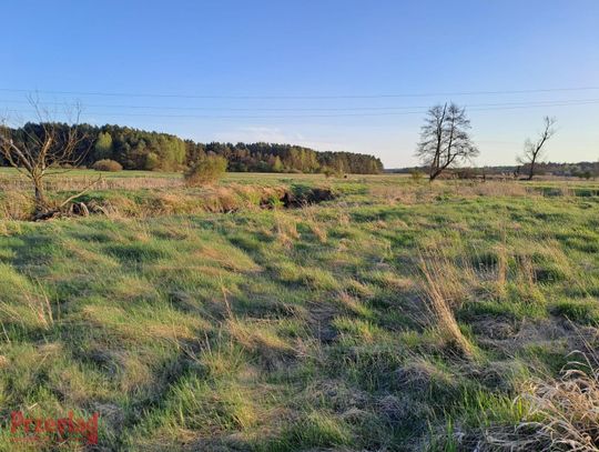 Wiosenne zmiany w Pruszkowie – prognoza na nadchodzące dni