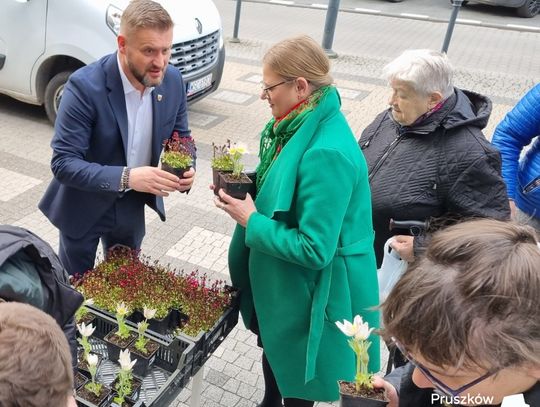 Z okazji Dnia Ziemi mieszkańcy Pruszkowa otrzymali sadzonki