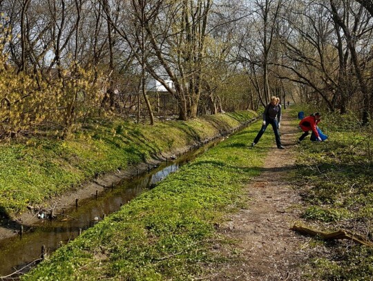 Zadbają o zieleń