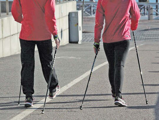 Zajęcia nordic walking