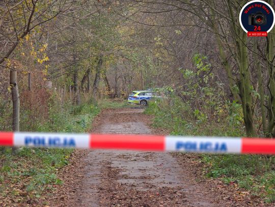 Zatrzymano kierowcę Skody po pościgu w Pęcicach! 34-latek bez prawa jazdy w rękach policji