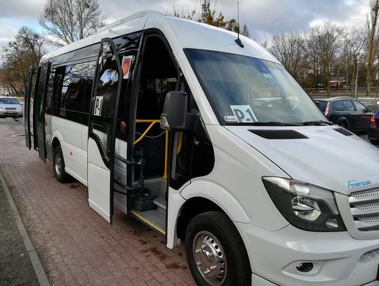 Zmiany rozkładu jazdy autobusu P-1. Będzie więcej kursów!