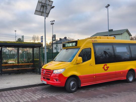 Zmiany w komunikacji autobusowej po zamknięciu tunelu w Brwinowie od 21 lipca. Nowe trasy i przystanki