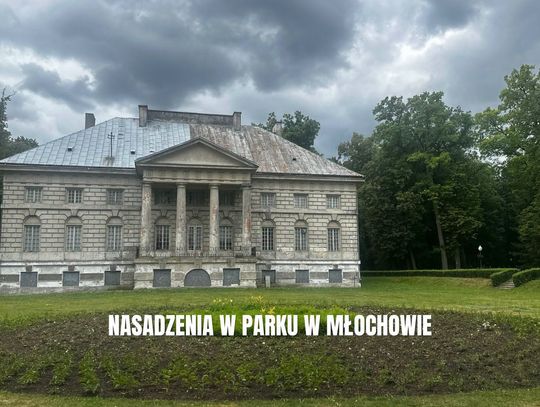 Zmiany w parku w Młochowie. Będą nowe alejki i fontanna