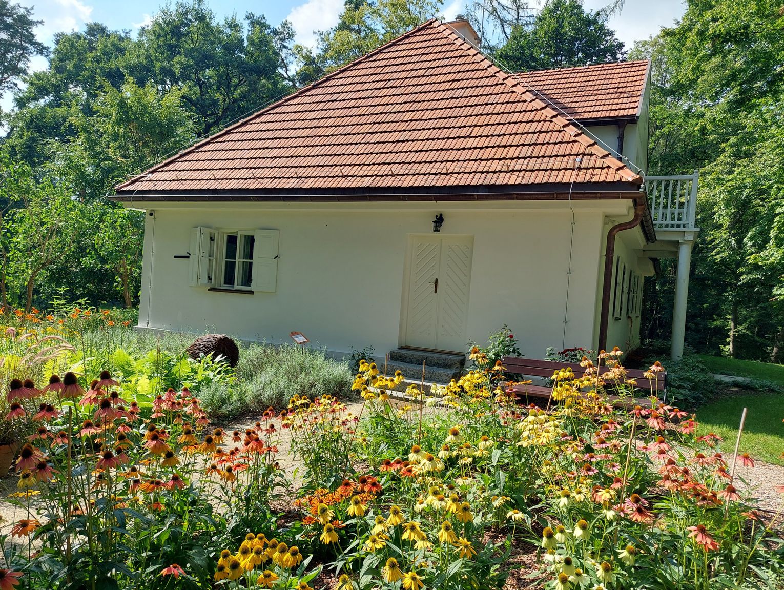 Będą nowe kamery w parku
