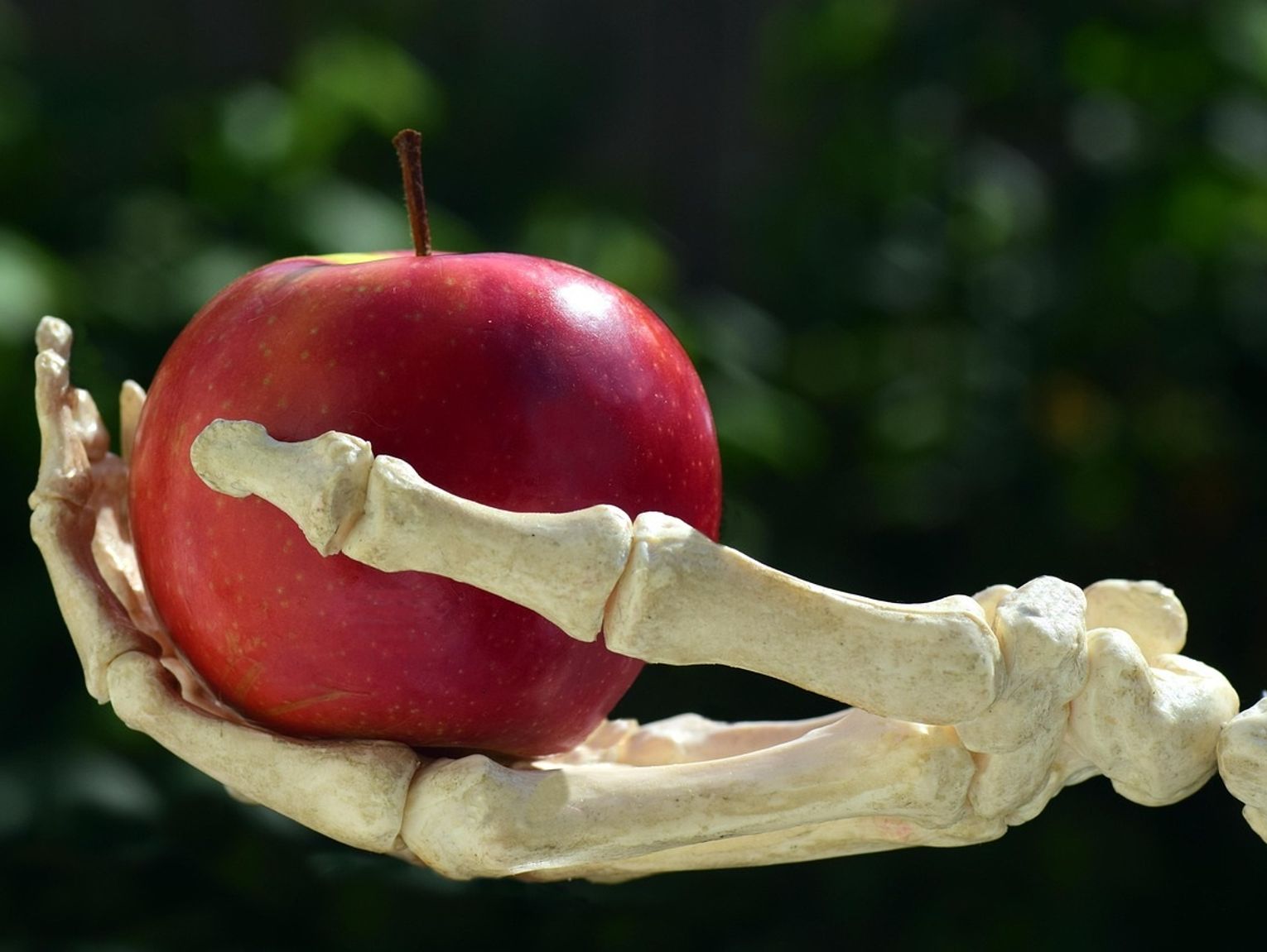 Bezpłatne badania osteoporozy w Milanówku – sprawdź swoje kości i zadbaj o zdrowie