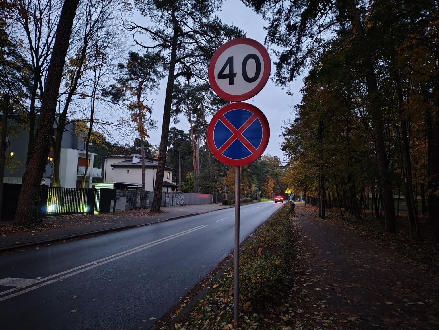 Czy Podkowa Leśna potrzebuje straży miejskiej?