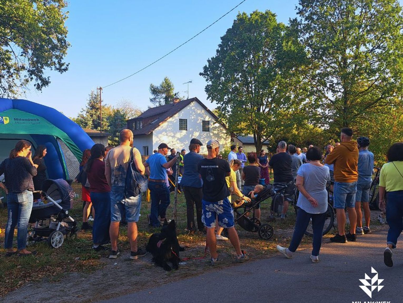 Dziki w mieście – gorące spotkanie z mieszkańcami