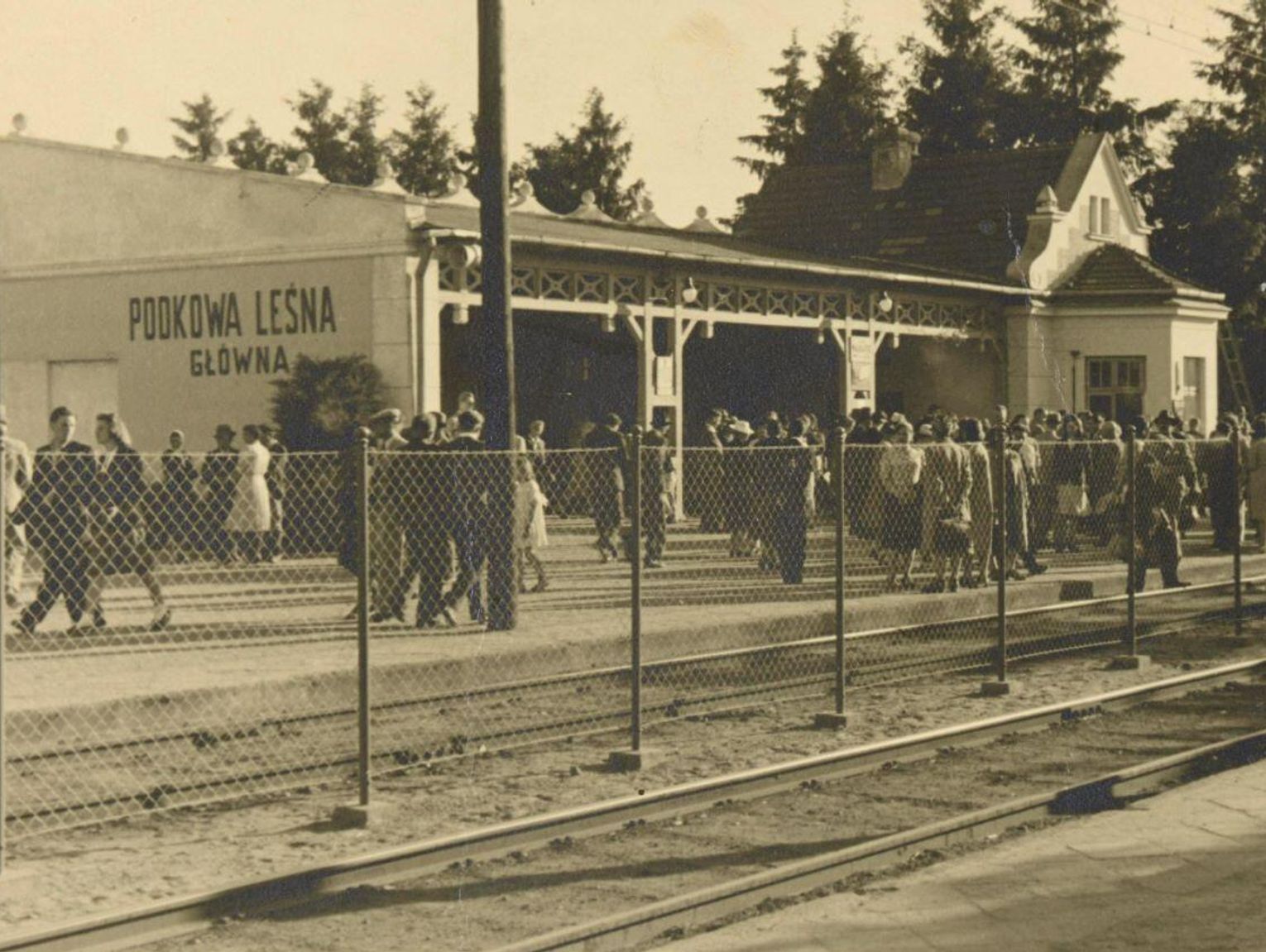 Irena Krzywicka z Podkowy Leśnej. Między odwagą, skandalem a tragedią