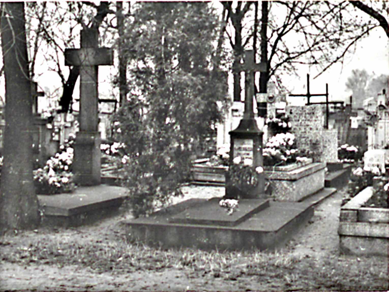 Jaktorów, jakiego nie znacie!