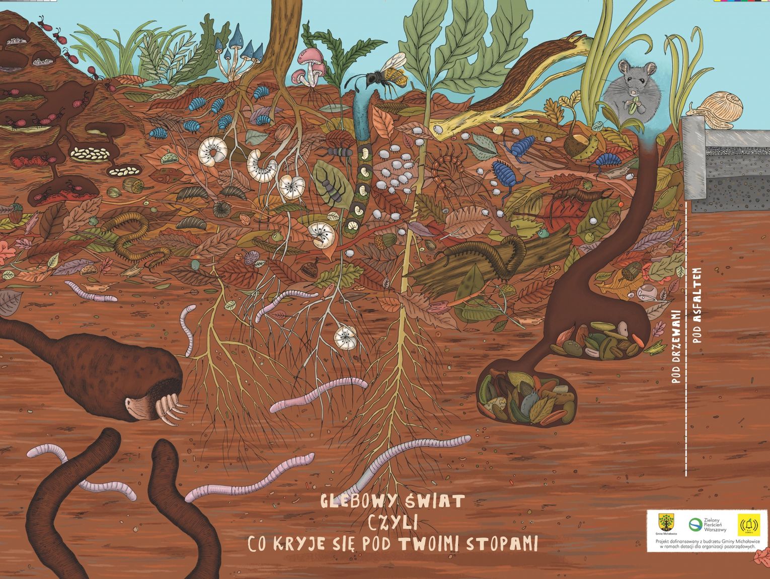 Mapa gleb Gminy Michałowice. Odkryj, co kryje się pod Twoimi stopami!