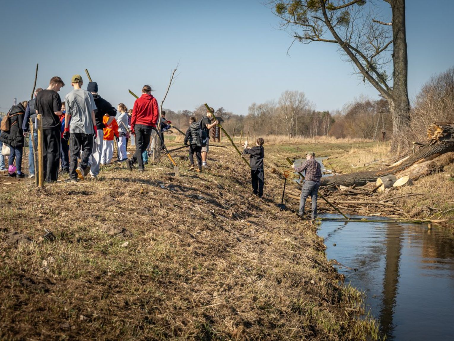 Mieszkańcy gminy znów posadzili drzewa nad Raszynką