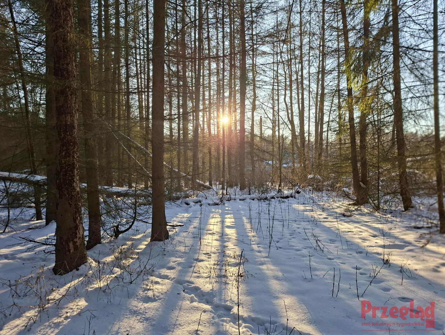 Oczekiwana pogoda w Pruszkowie – prognoza na ten tydzień