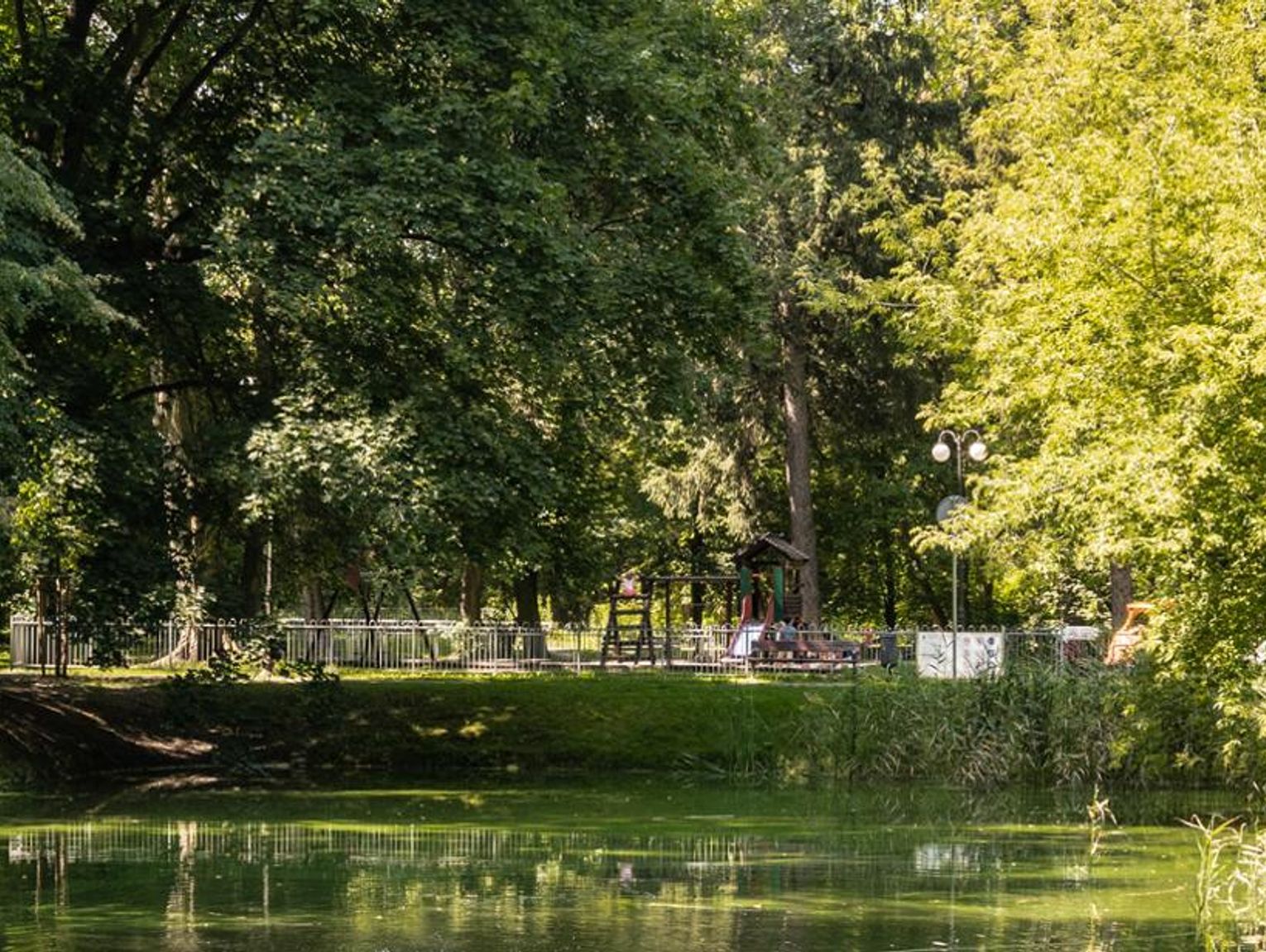 Park Dworski w Regułach. Powstał nowy przewodnik po drzewach i ścieżce dendrologicznej