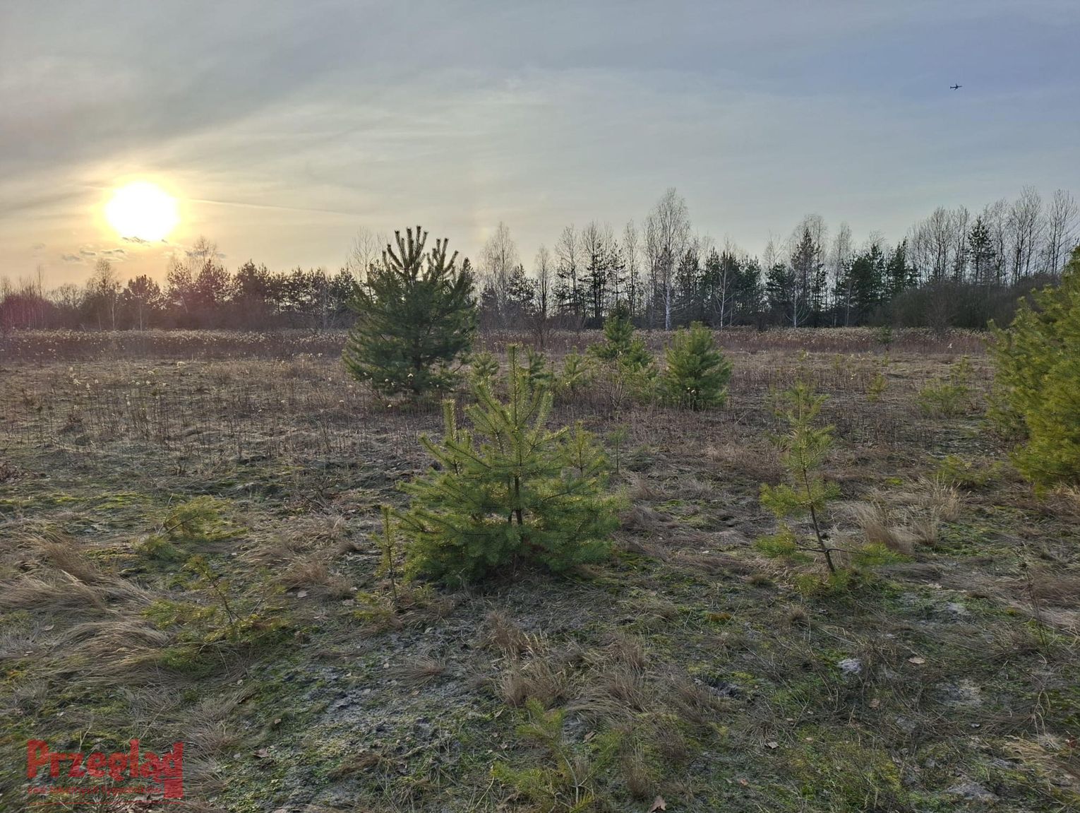 Prognoza pogody dla Pruszkowa na weekend