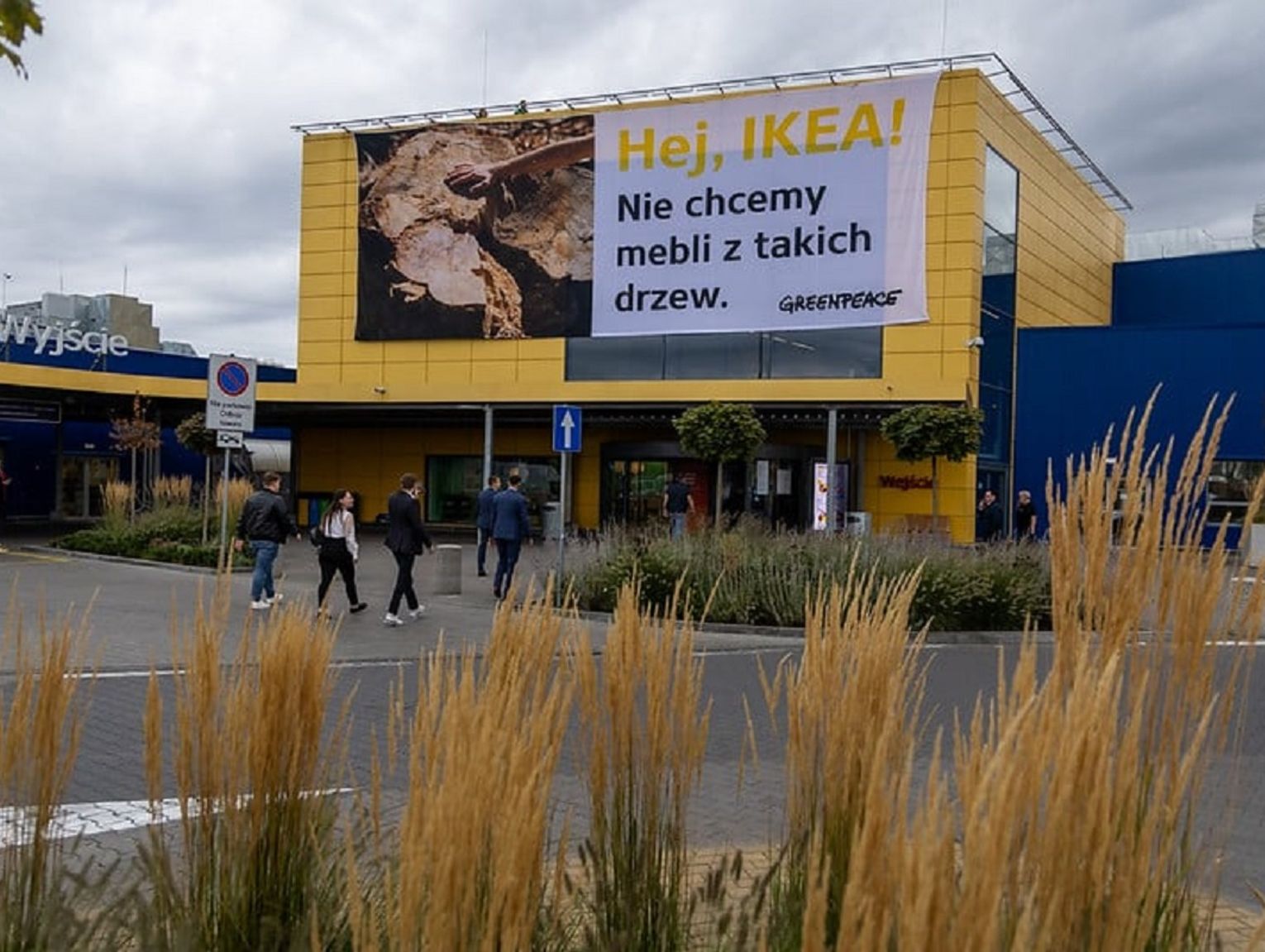 Protest Greenpeace na dachu sklepu IKEA w Jankach