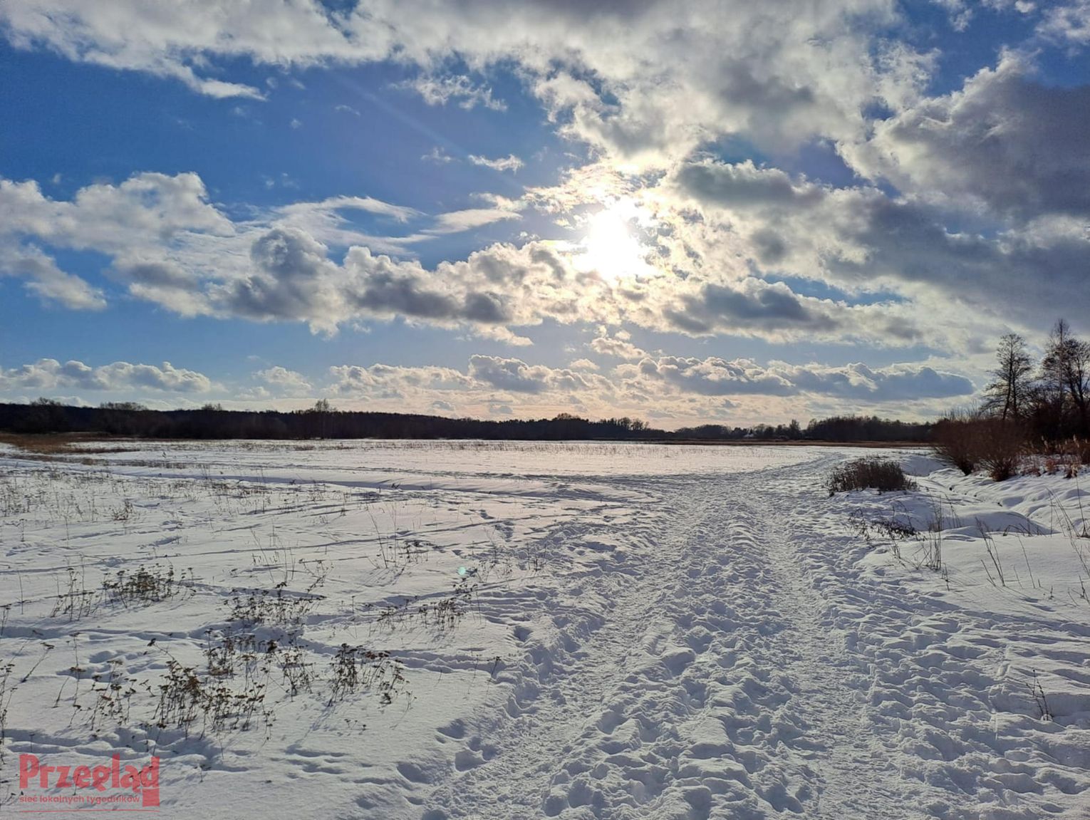 Pruszków w styczniu 2026 – prognoza pogody z opadami i spadkiem temperatury
