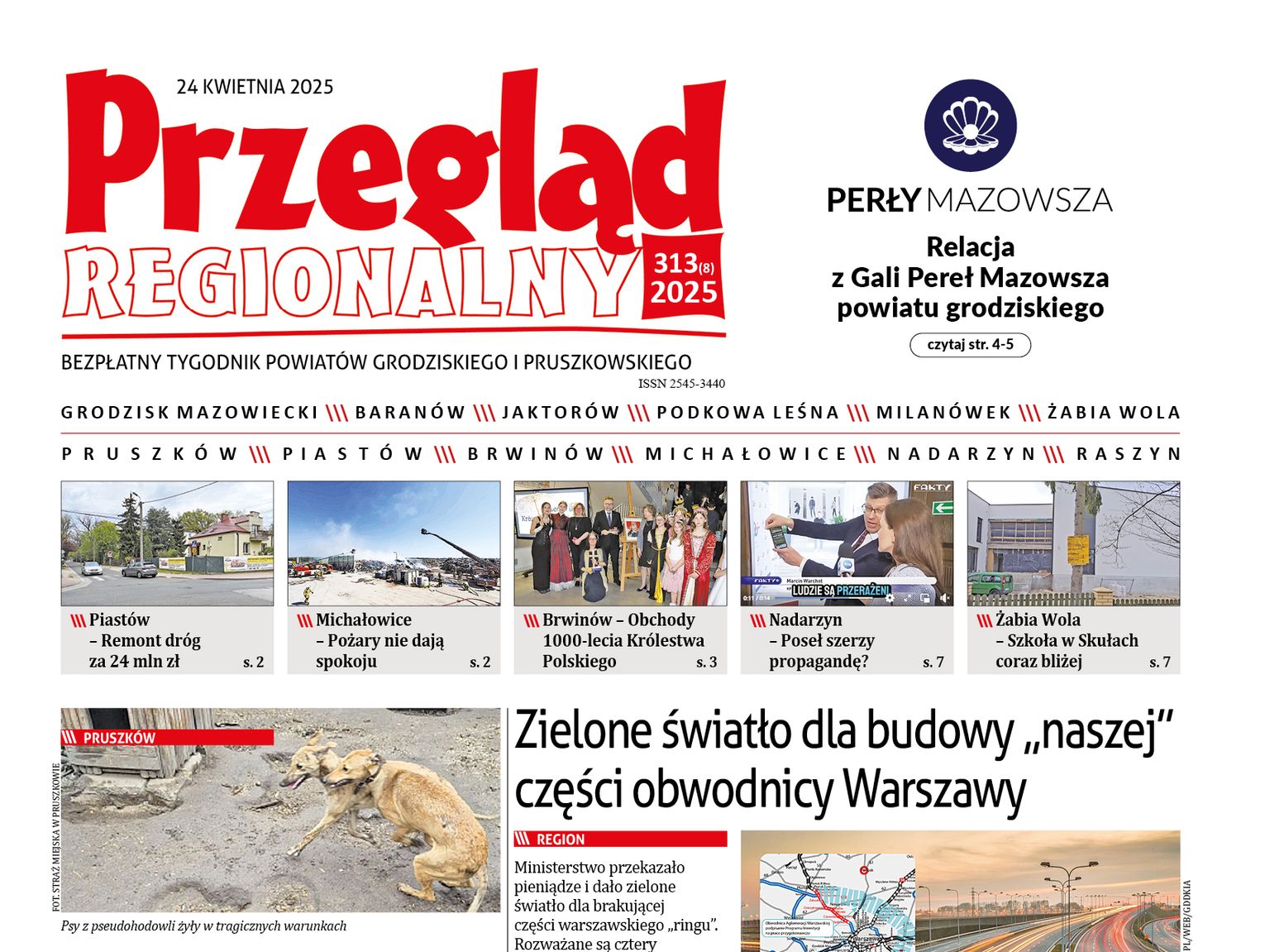Przegląd Regionalny, wydanie 313