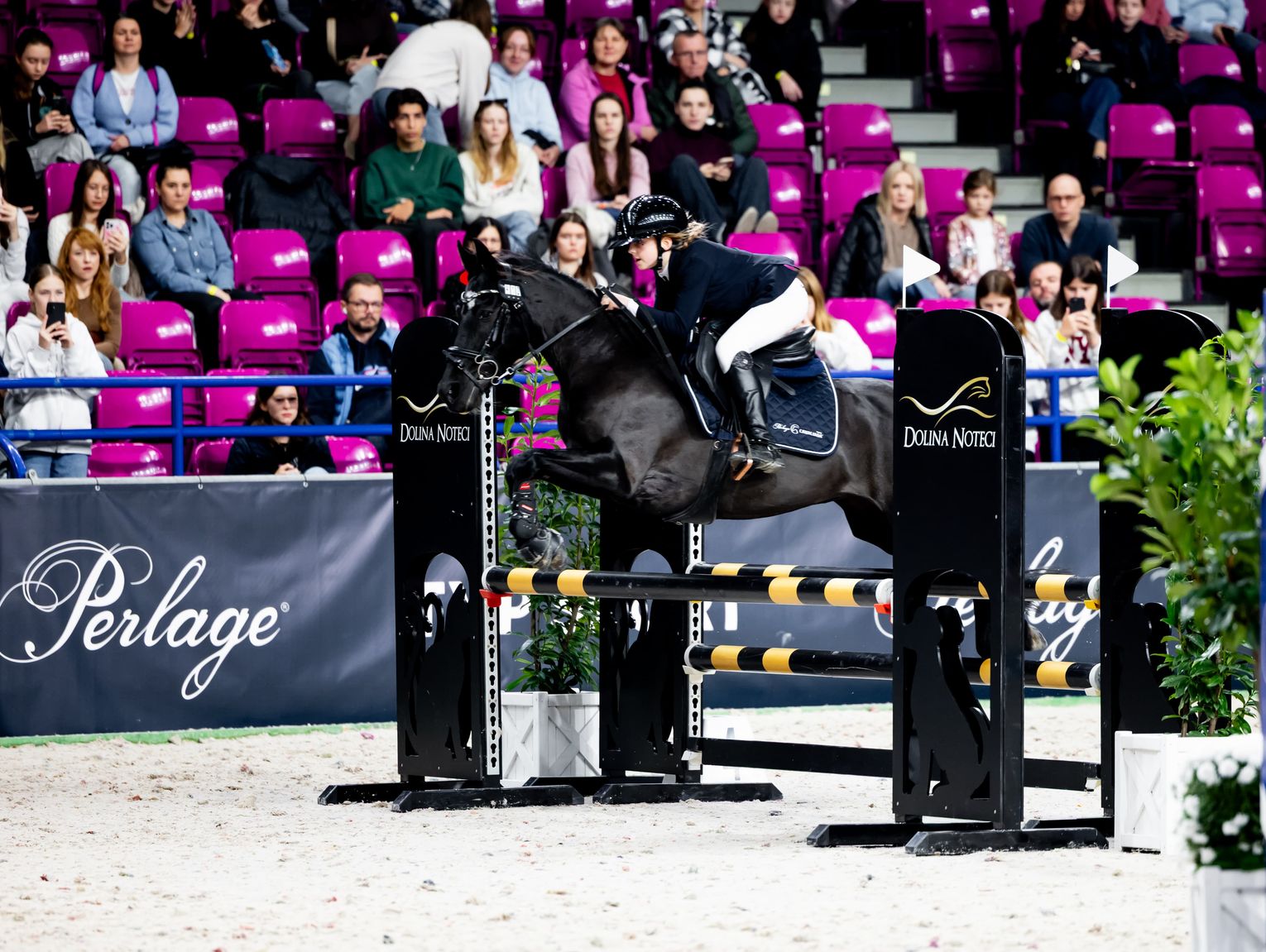 Sukcesy jeźdźców z Dawid na warszawskiej Cavaliadzie