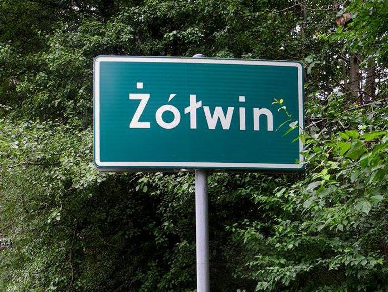 Uwaga kierowcy i pasażerowie! Utrudnienia w ruchu drogowym i zmiany w kursowaniu autobusów