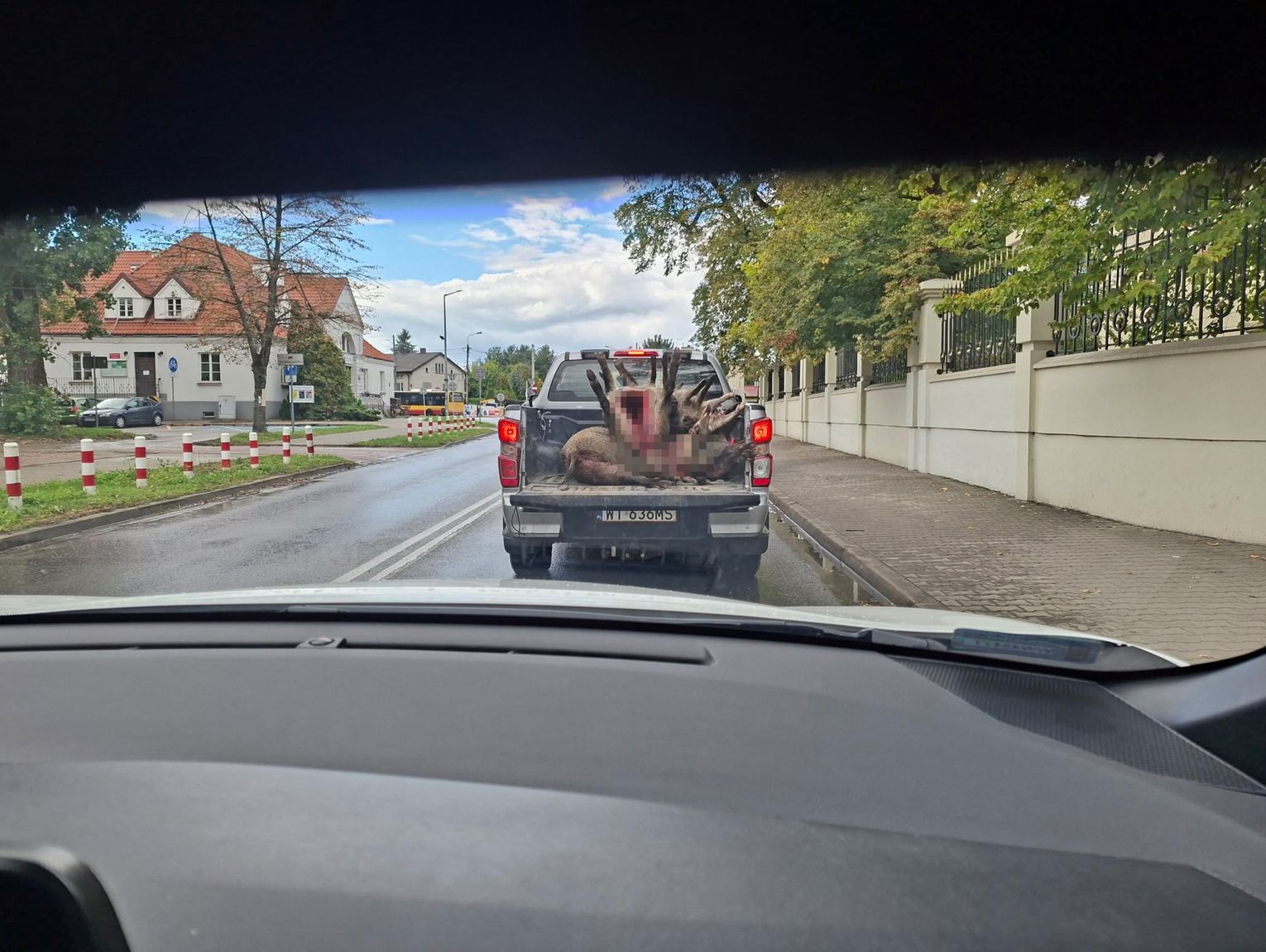 Wypatroszone zwierzęta na odkrytej pace. Szokujące zdjęcia z Nadarzyna
