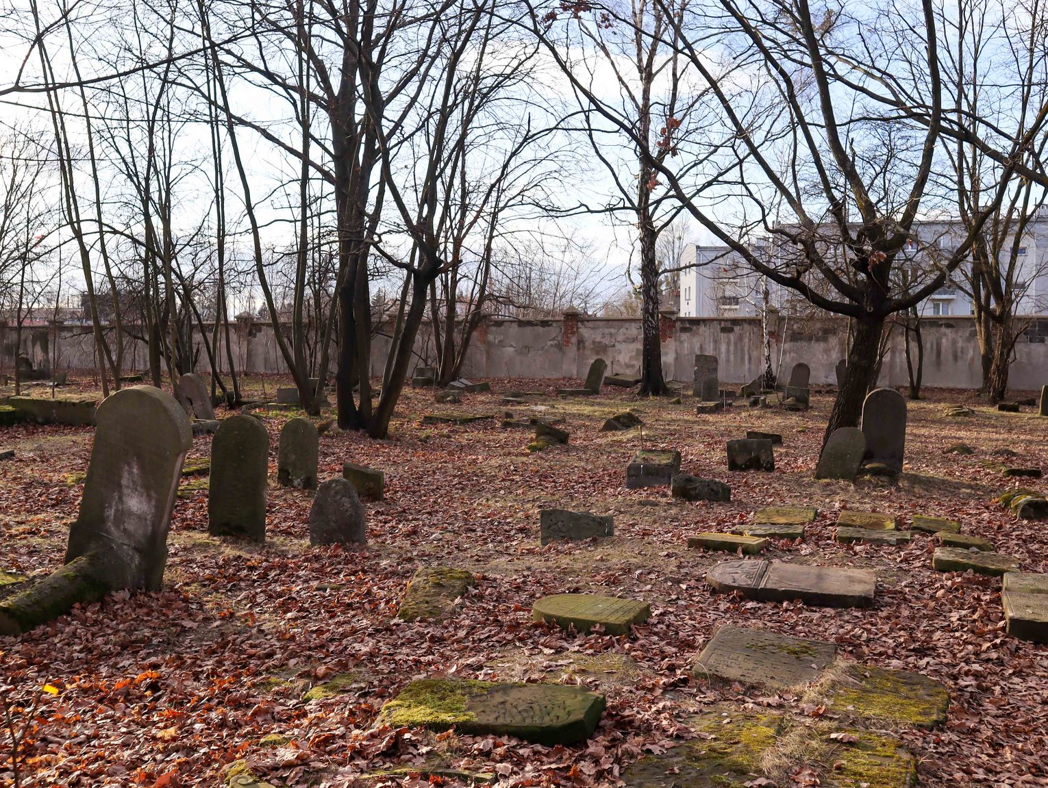 Zachowane w kamieniu. Zapomniany cmentarz