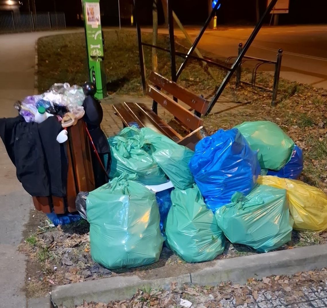500 zł kary za śmieci w koszu? W Brwinowie narasta cichy problem 500 zł kary za śmieci w koszu? W Brwinowie narasta cichy problem