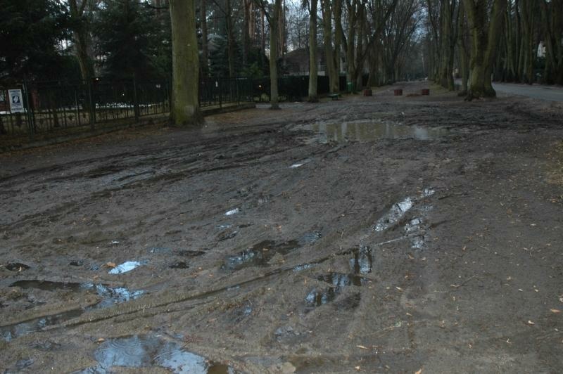 Aktywiści oskarżają, miasto odpowiada Aktywiści oskarżają, miasto odpowiada