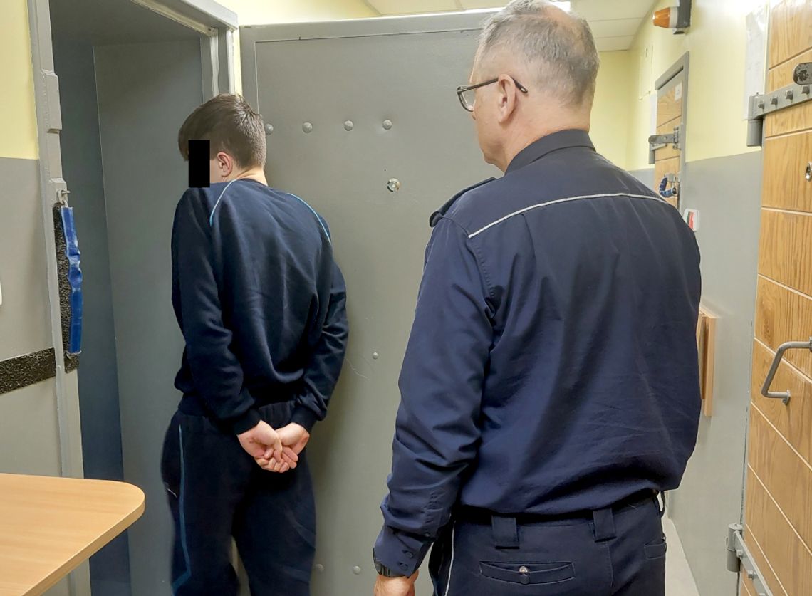 Areszt dla 18-latka za atak na kierowcę taksówki. Prokuratura ujawnia nowe szczegóły Areszt dla 18-latka za atak na kierowcę taksówki. Prokuratura ujawnia nowe szczegóły