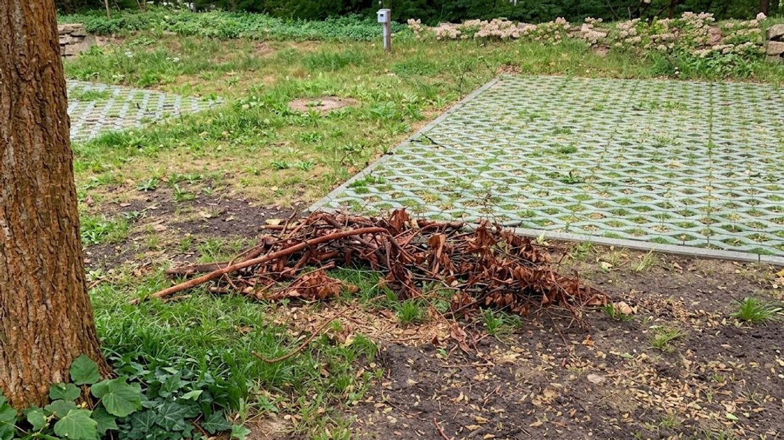 Bałagan przy budynku w Opaczy-Kolonii
