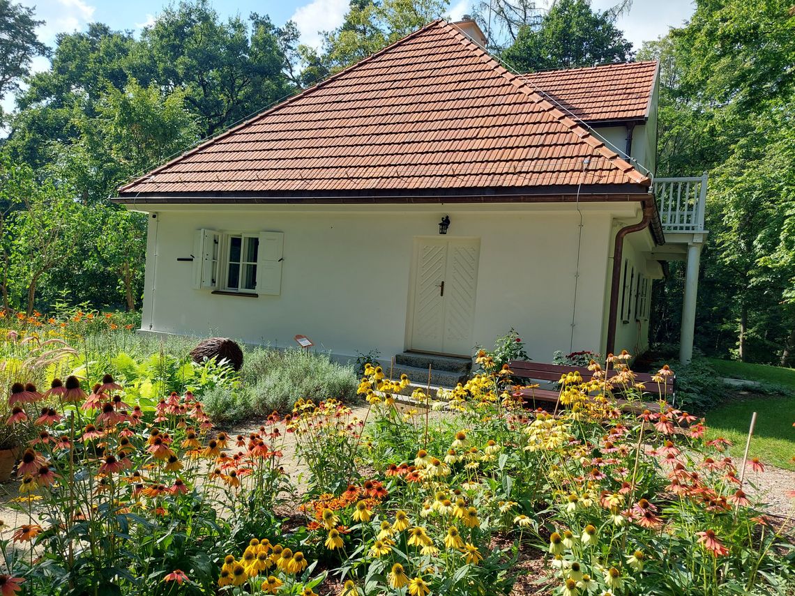 Będą nowe kamery w parku Będą nowe kamery w parku