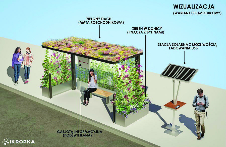 Ekologiczna wizytówka – zielone przystanki niebawem w Brwinowie