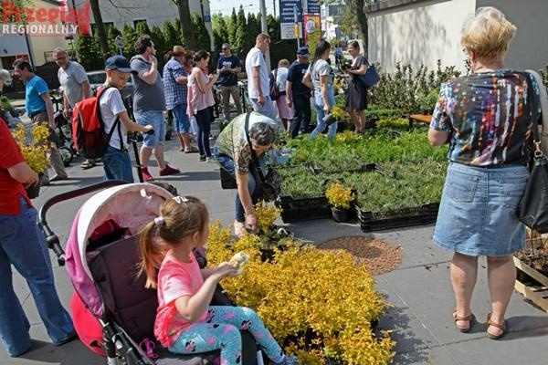 Grodzisk stawia na zielone