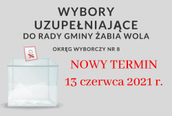 Jest nowy termin wyborów uzupełniających w Żabiej Woli