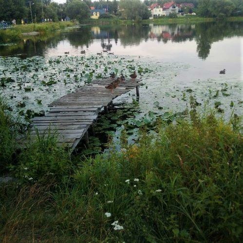 Kolejna część prac przy zalewie w Komorowie