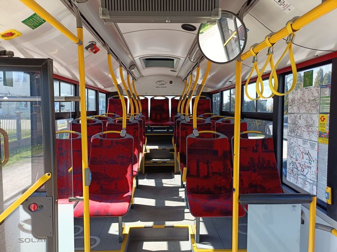 „Las Młochowski Biega” – rusza specjalna linia autobusowa nr 65!