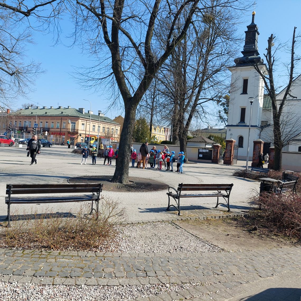 Miasto, które stawia na zielone!