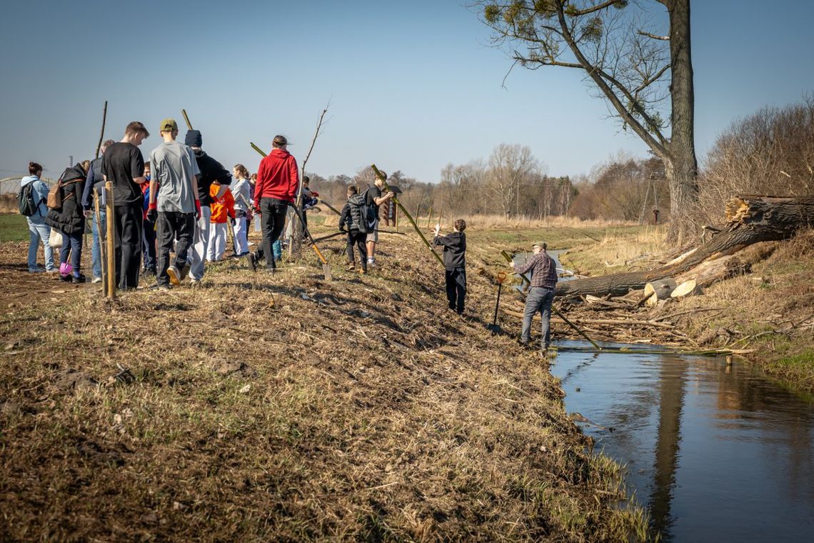 Mieszkańcy gminy znów posadzili drzewa nad Raszynką