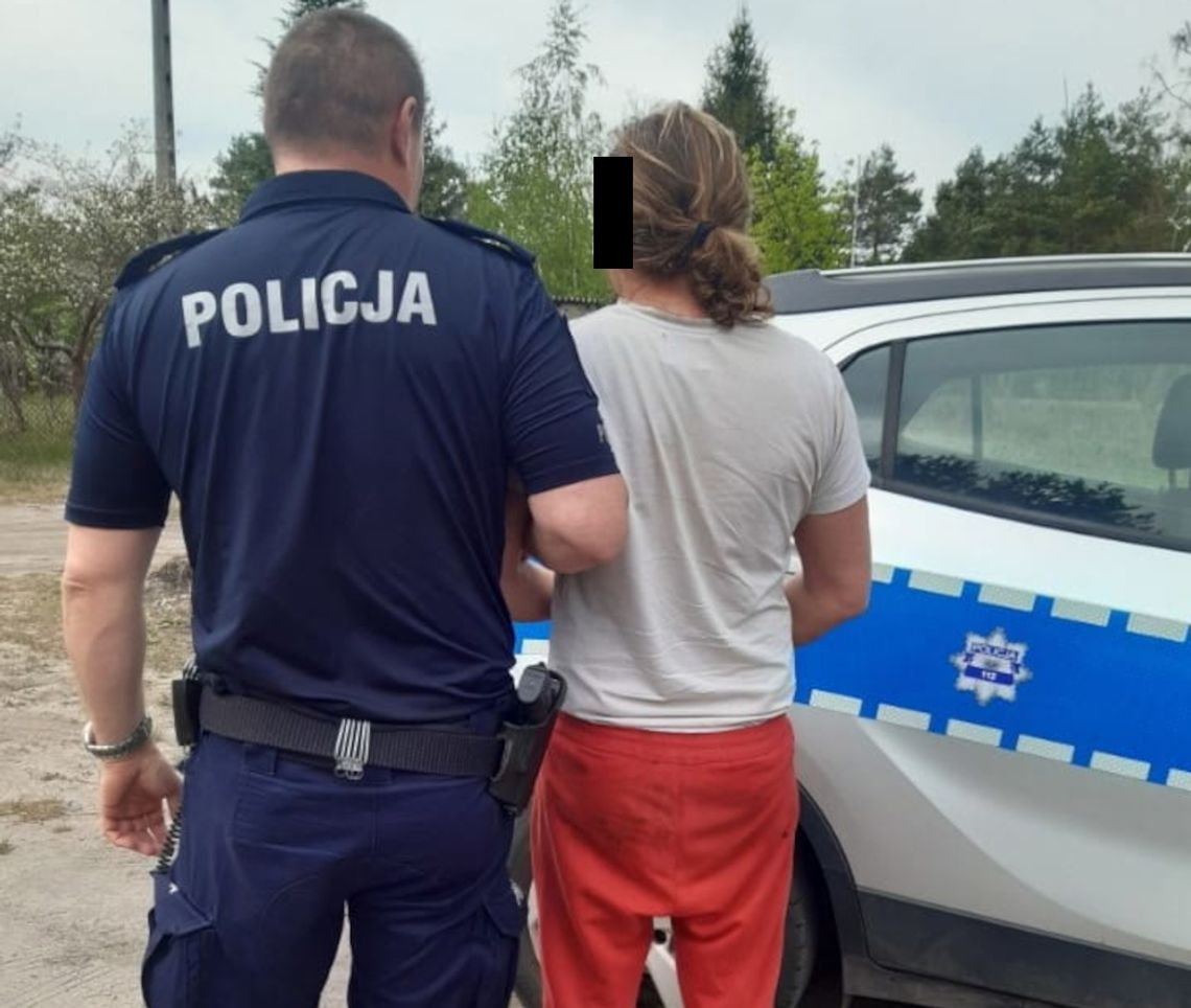 Myśleli, że to zwykły dom. Policja odkryła tam plantację konopi! 45-latkowi grozi 20 lat więzienia