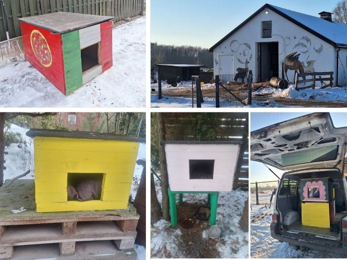 Nowe domki dla kotów w Gminie Żabia Wola. Mała pomoc, wielka zmiana!