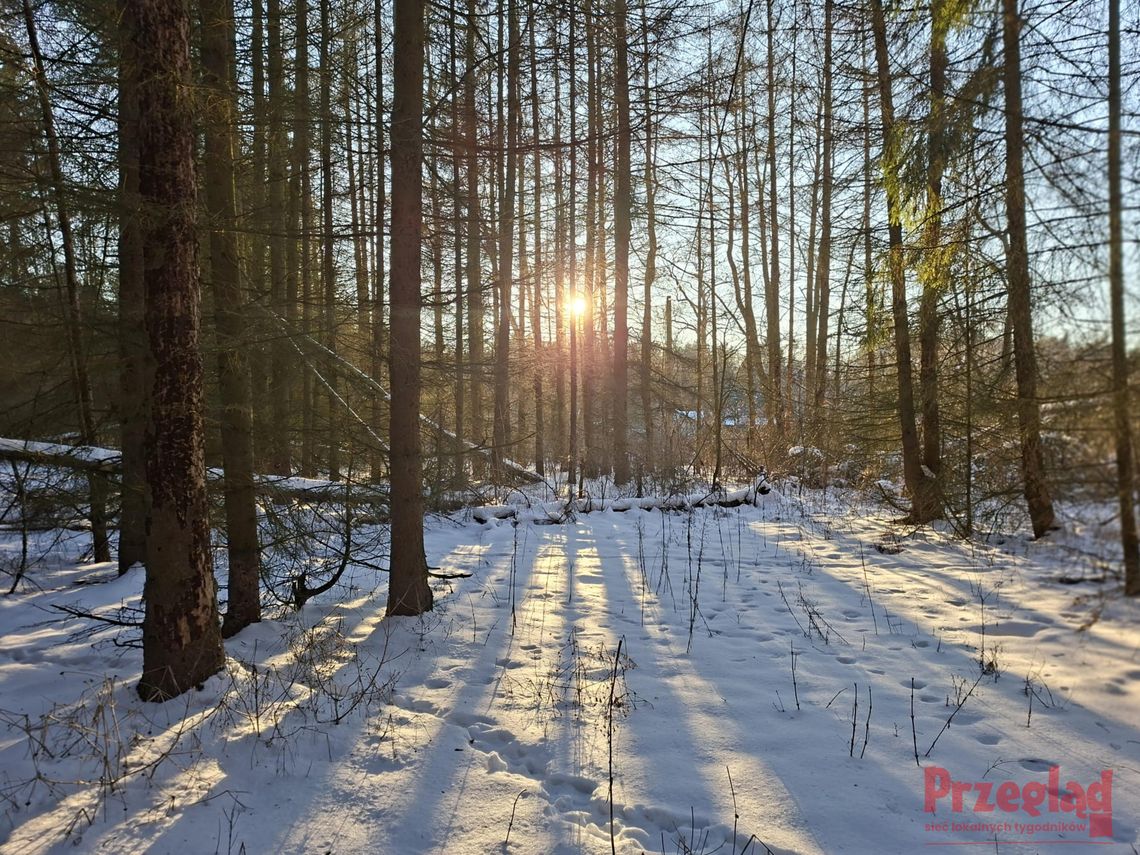 Oczekiwana pogoda w Pruszkowie – prognoza na ten tydzień