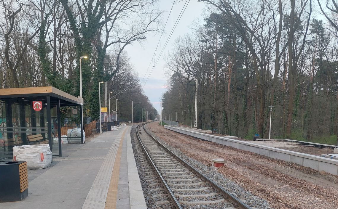 Od poniedziałku zmiany w zastępczej komunikacji autobusowej WKD