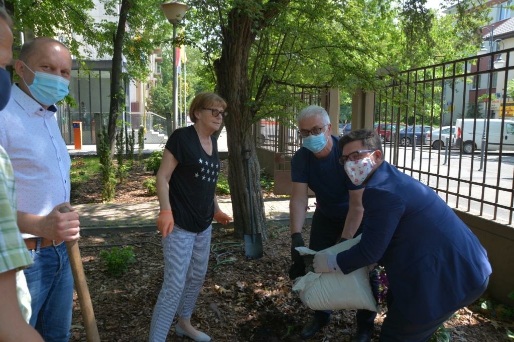 Ogród dla seniorów z Dziennego Domu Senior+