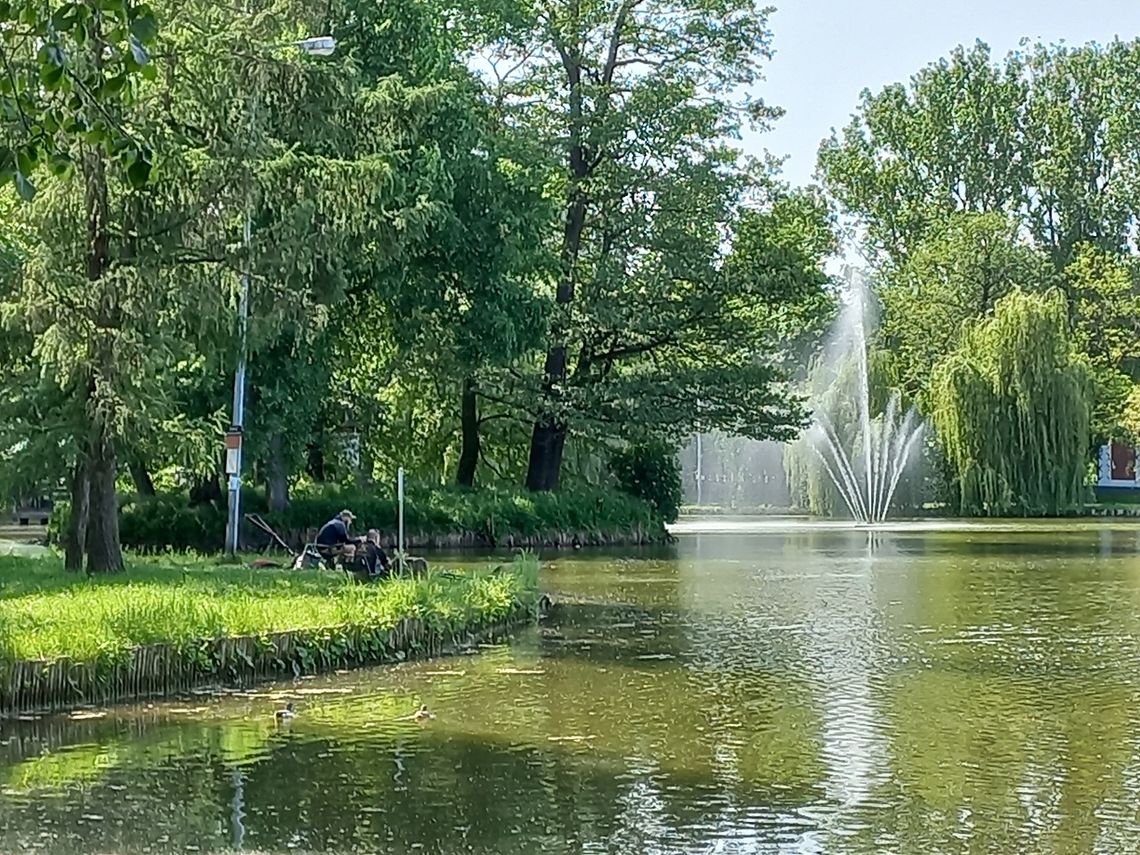 Pierwszy krok do powstania parku krajobrazowego w Pruszkowie