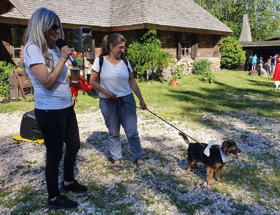 Piknik w Firlejach na rzecz bezdomnych zwierząt