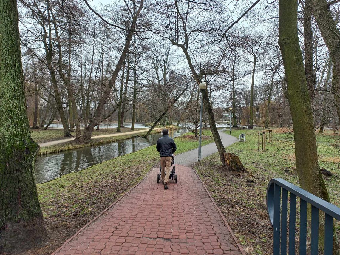 Powstał regulamin zabytkowego Parku Potulickich