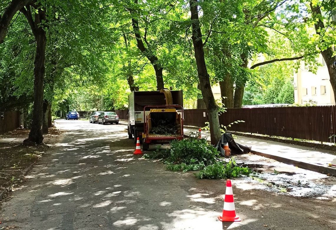 Prace pielęgnacyjne w Podkowie Leśnej